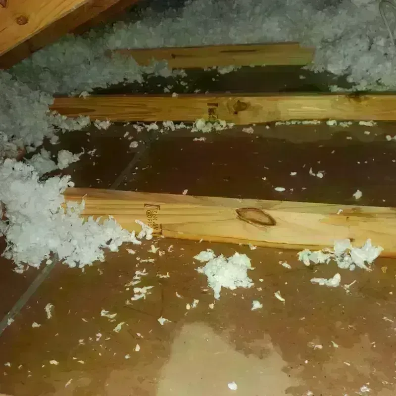 Attic Water Damage in DeKalb, IL