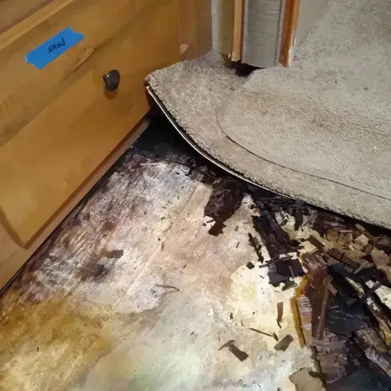 Best Wood Floor Water Damage Service in DeKalb, IL